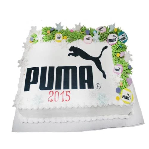 Торт Новогодняя Puma в Москве 