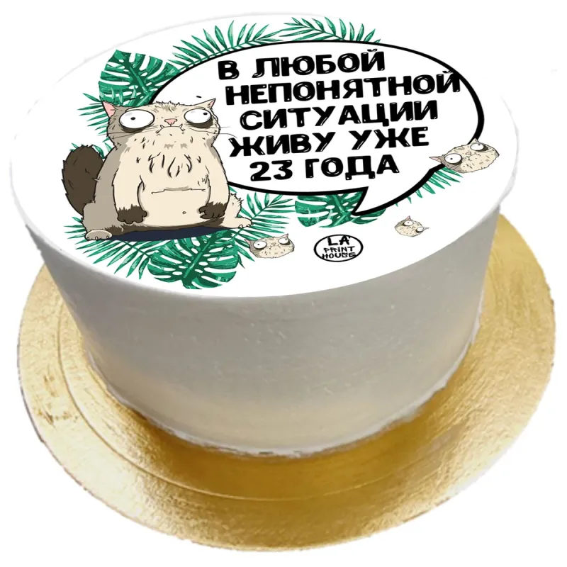 Торт смешной Непонятная ситуация