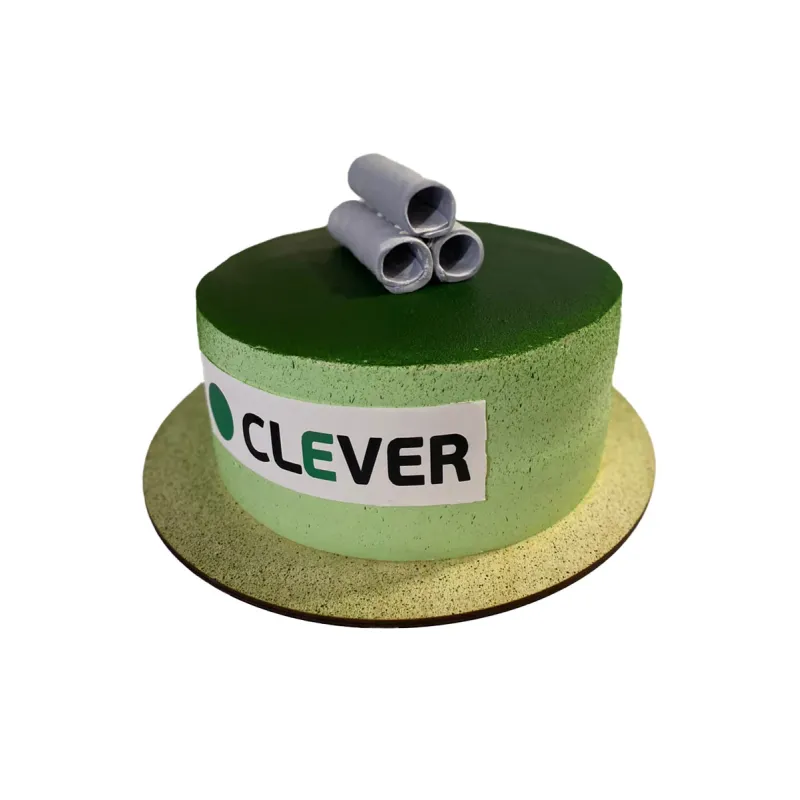 Корпоративный торт Clever